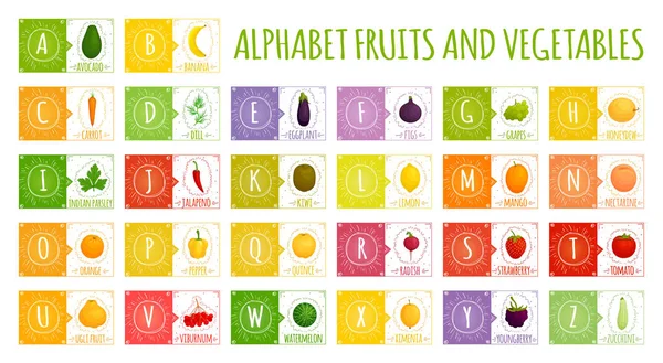 果物と野菜でベクトルのアルファベット 子供のための手紙 文字とさまざまな食品の名前を勉強するには — ストックベクタ