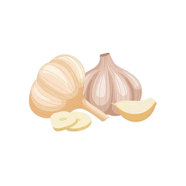 Samenstelling van hoofden en teentjes knoflook. Vectorillustratie. — Stockvector