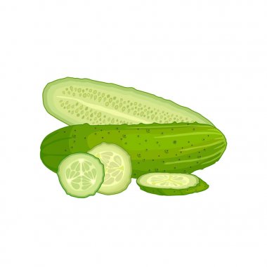 Salatalık ile natürmort. Vektör çizim. Bütün kompozisyon doğranmış ve yarım bir salatalık.