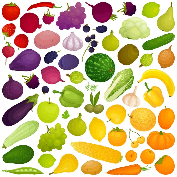 Gradiente colorido vectorial de los alimentos . — Vector de stock