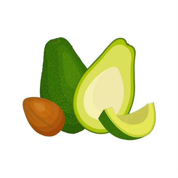 Mezza intera e frutta a fette di avocado. Vettore — Vettoriale Stock