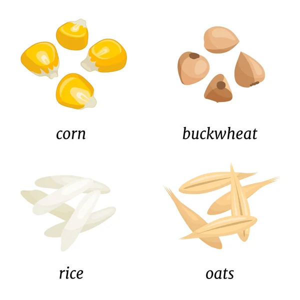 Getreidezusammensetzung isoliert auf weißem Hintergrund. Reiskörner, Hafer, Mais und Buchweizen. — Stockvektor