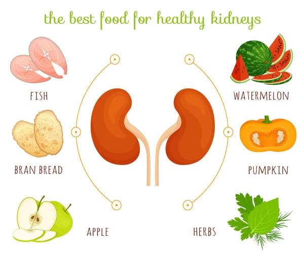 Prodotti da reni. Illustrazione vettoriale. Dieta per reni sani . — Vettoriale Stock