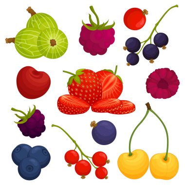 Composition of various berries. Vector illustration. Set of elements