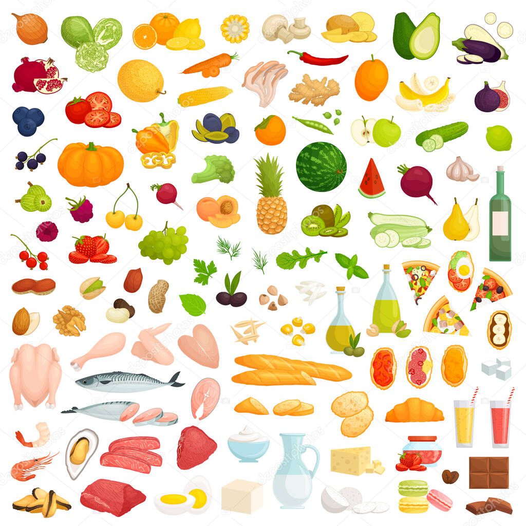 Large set of food. Various productsfor a healthy diet. Vector.