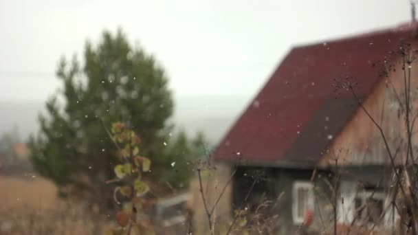 De sneeuw valt het huis in de achtergrond — Stockvideo