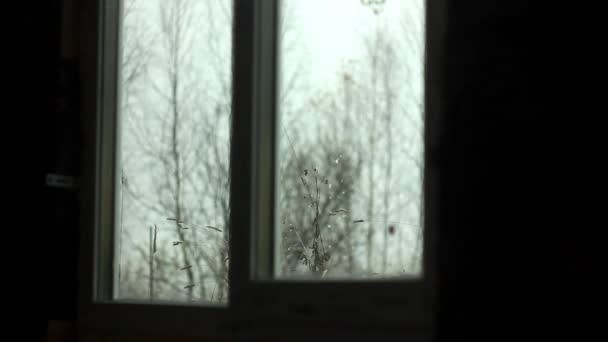 In the window snow falls — Stockvideo