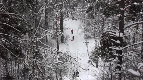 Im Winter auf der Schanze — Stockvideo