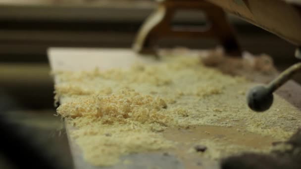 Wood sawdust on the wooden — Stock Video