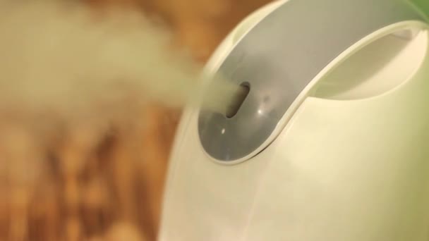 L'humidificateur est dans la pièce — Video