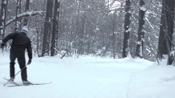 Skiër in het bos — Stockvideo