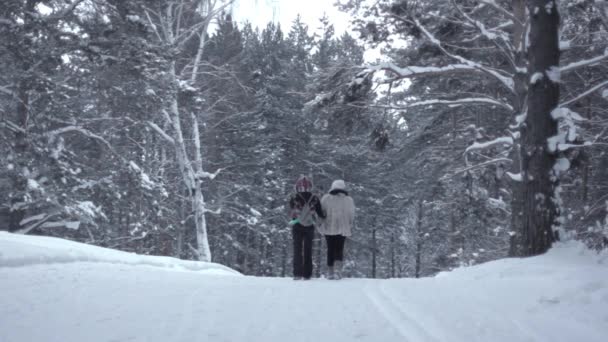 People walk in the winter woods — Stock Video