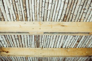 Huş günlükleri çok