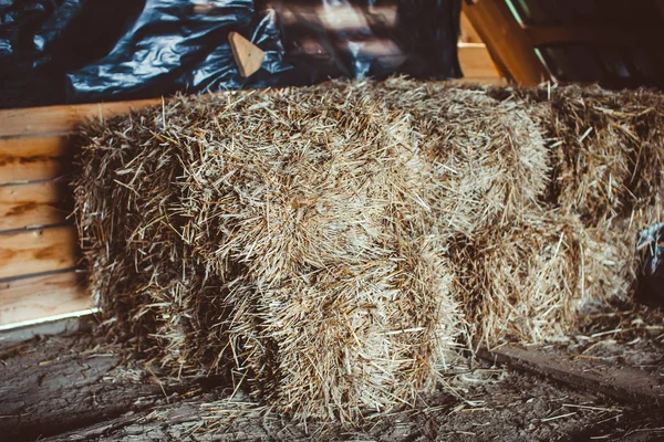 Сушеная трава в тюках — стоковое фото