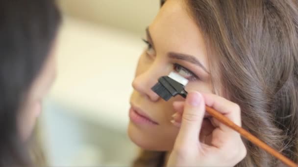 Maquillaje artista pinta los ojos — Vídeo de stock