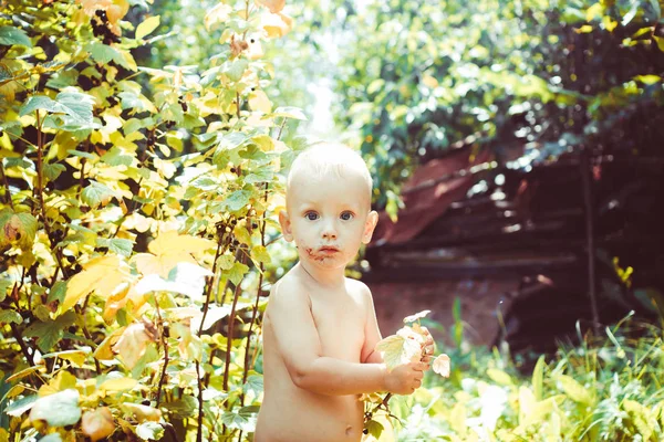 Enfant dans la nature — Photo