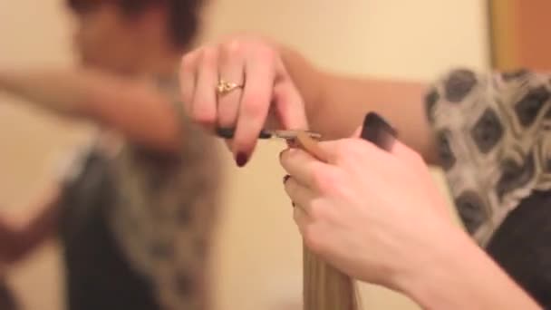 O barbeiro corta a mulher — Vídeo de Stock