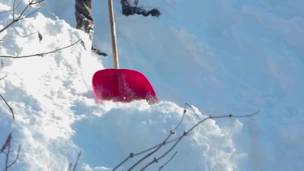 Homem removendo neve do telhado com uma pá — Vídeo de Stock