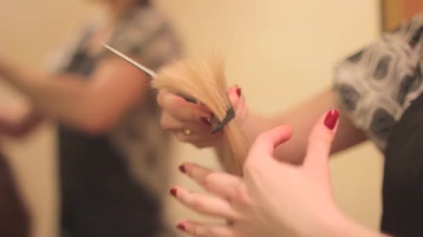 Le Barbier coupe la femme — Video