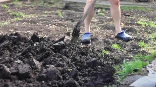Menggali sekop taman tempat tidur — Stok Video