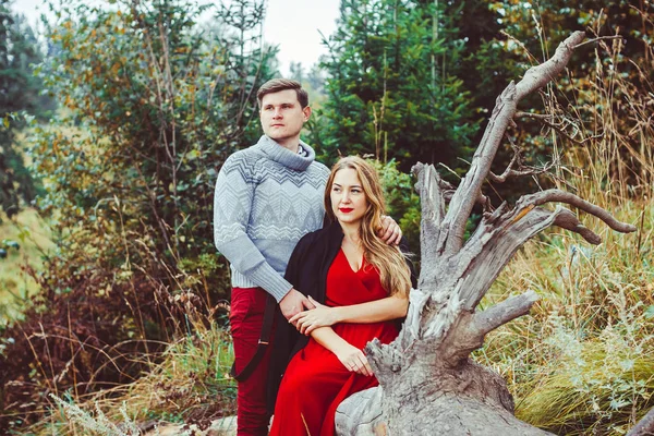 Pareja amando en el bosque — Foto de Stock