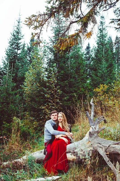 Супружеская любовь в лесу — стоковое фото