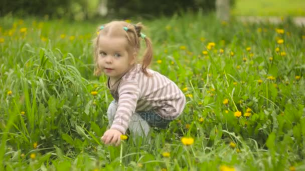 Yeşil çimen, küçük kız — Stok video