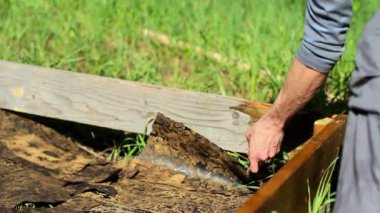 Antiseptik ile ağacı kapak