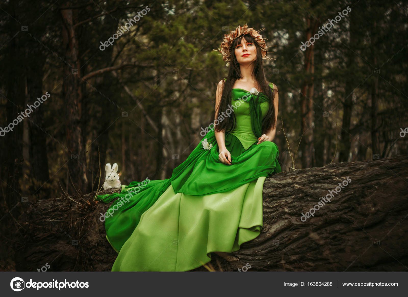Chica en un bosque vestido verde Foto de stock 163804288 Venerala