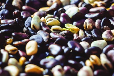 portre, kırmızı azuki fasulyesi fasulye