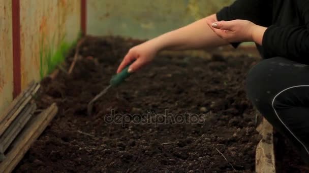 Planten van zaden met de hand — Stockvideo