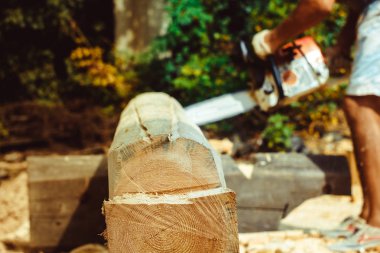 çalışan bir chainsaw Ağaç kesme tezgahlar