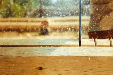 Testere talaş ahşap