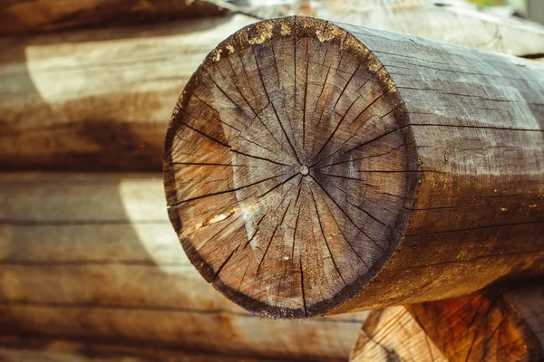 木材の家 — ストック写真