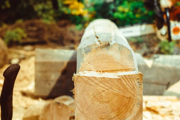 Werknemer een kettingzaag boom zagen — Stockfoto
