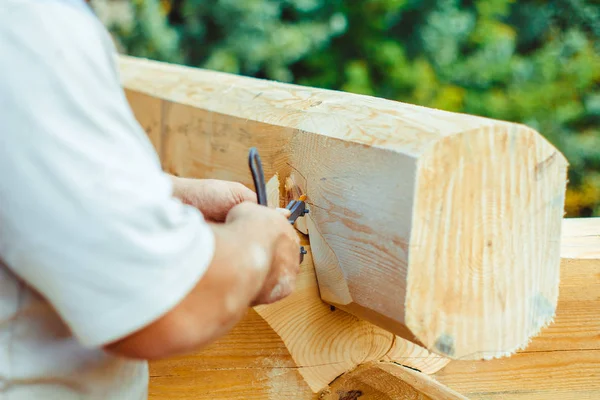 Carpenter je kresba na stromě — Stock fotografie