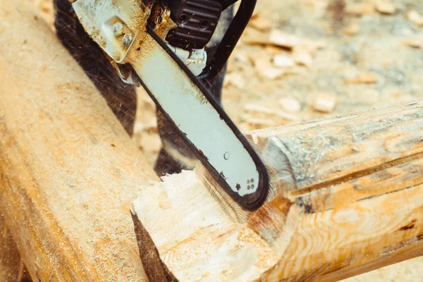 Testere talaş ahşap