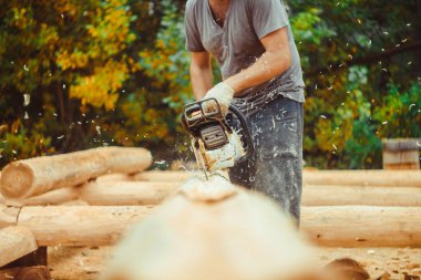 Testere talaş ahşap