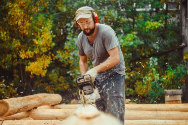 Testere talaş ahşap