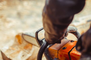 Testere talaş ahşap