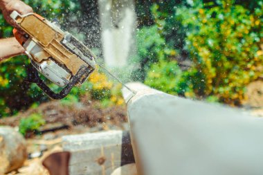 çalışan bir chainsaw Ağaç kesme tezgahlar