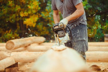 Testere talaş ahşap