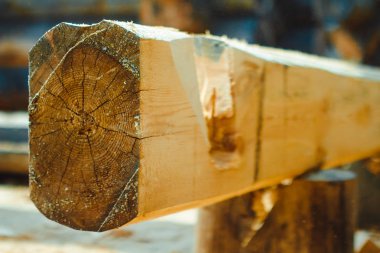 çalışan bir chainsaw Ağaç kesme tezgahlar