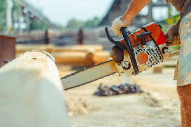 çalışan bir chainsaw Ağaç kesme tezgahlar