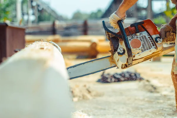 çalışan bir chainsaw Ağaç kesme tezgahlar