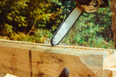 Testere talaş ahşap