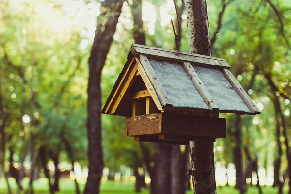 Birdhouse en un árbol —  Fotos de Stock