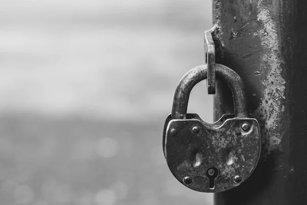 Iron lock on the fence — Stock Photo, Image