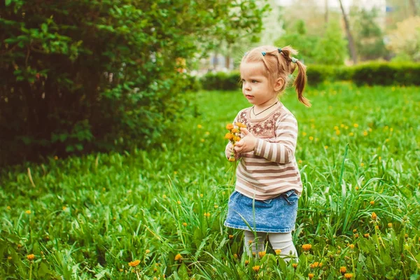 Маленькая девочка в траве — стоковое фото