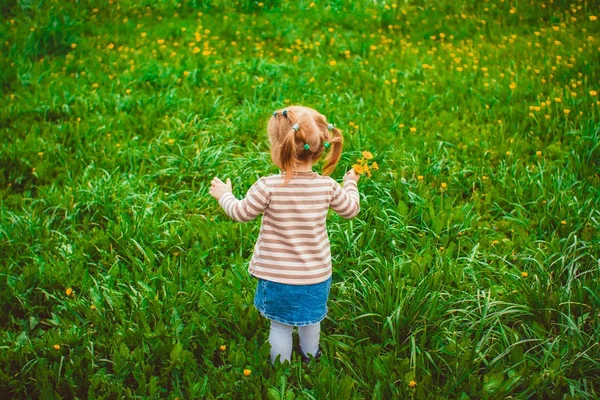 草の小さな女の子 — ストック写真